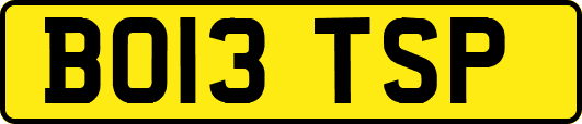BO13TSP