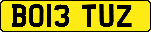 BO13TUZ