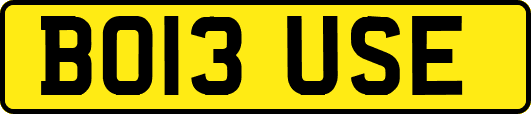 BO13USE
