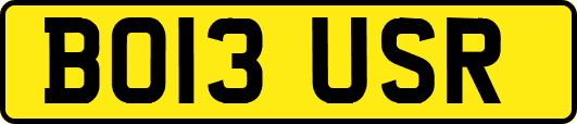 BO13USR