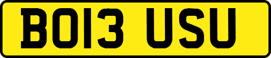 BO13USU