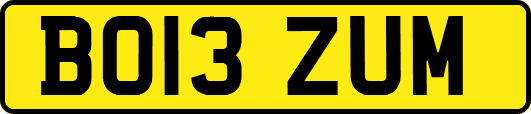BO13ZUM