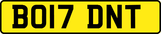 BO17DNT
