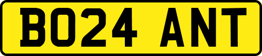 BO24ANT