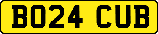 BO24CUB
