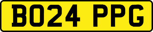 BO24PPG