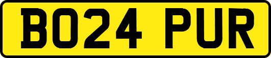 BO24PUR