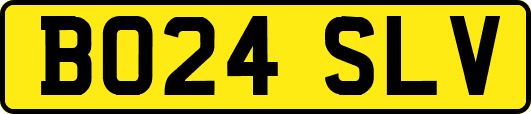 BO24SLV