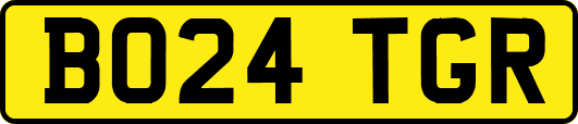 BO24TGR
