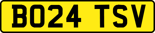 BO24TSV