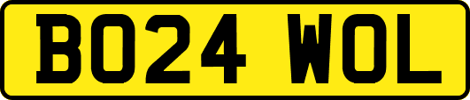 BO24WOL