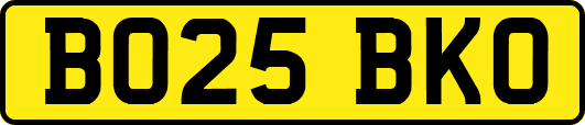 BO25BKO
