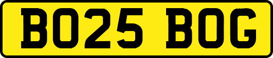 BO25BOG