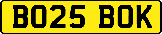 BO25BOK