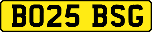 BO25BSG