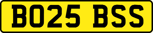 BO25BSS
