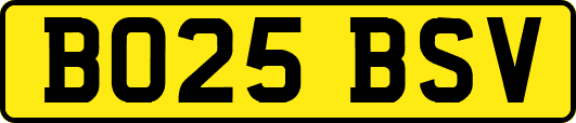 BO25BSV