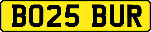 BO25BUR