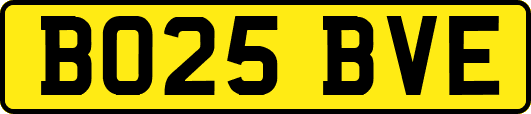 BO25BVE