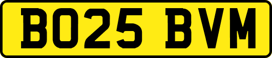 BO25BVM