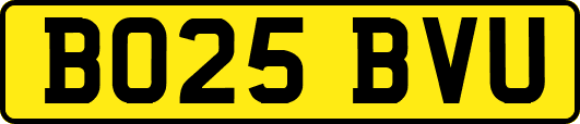 BO25BVU
