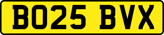 BO25BVX