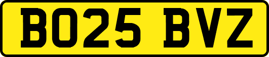 BO25BVZ
