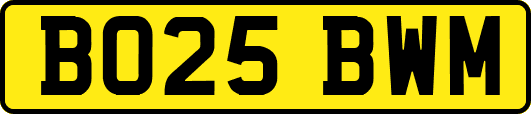 BO25BWM