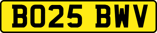 BO25BWV