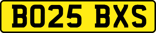 BO25BXS