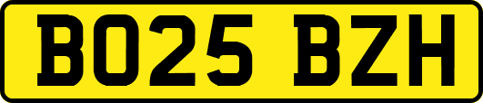 BO25BZH