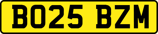 BO25BZM