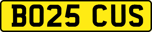 BO25CUS