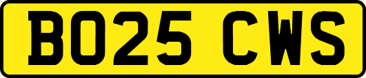 BO25CWS