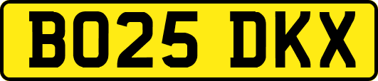 BO25DKX