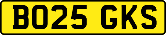 BO25GKS