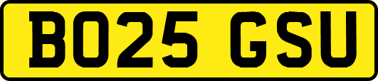 BO25GSU