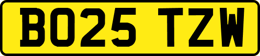 BO25TZW