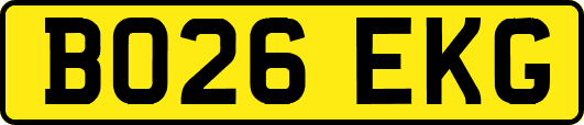 BO26EKG