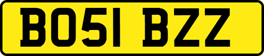BO51BZZ