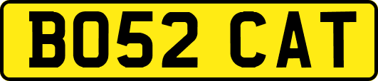 BO52CAT