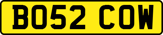 BO52COW