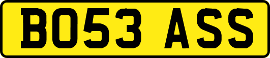 BO53ASS