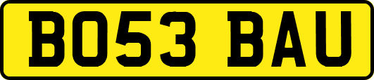 BO53BAU