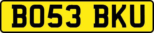 BO53BKU