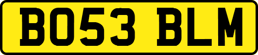 BO53BLM