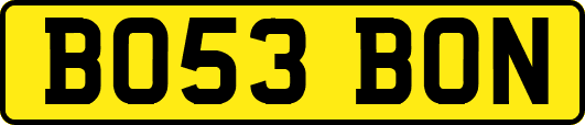 BO53BON