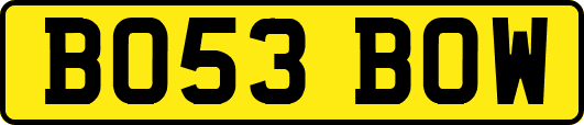 BO53BOW