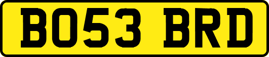 BO53BRD
