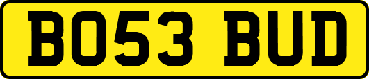 BO53BUD